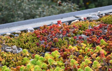 the cost of Aberdeen green roof installation