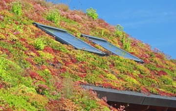 Aberdeen living roof systems